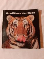 Quittungsbuch der Günzburger Zeitung von 1968 Bayern - Kötz Vorschau