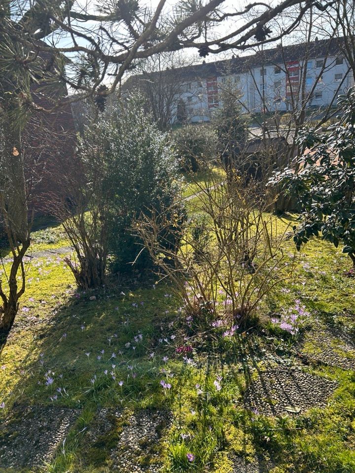 Schönes Einfamilienhaus mit Garten und Gründstück in Birkenfeld