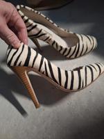 Buffalo Pumps Hessen - Rosenthal Vorschau