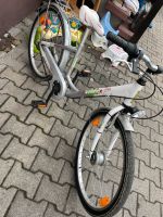 Fahrrad bellini 24 Zoll Hessen - Mühltal  Vorschau