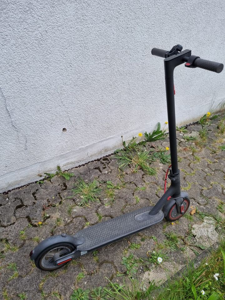 E-Roller Xiaomi Pro 4 in Hofheim am Taunus