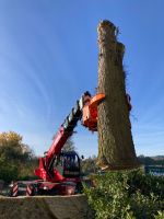 Baumfällung Fällkran Wimmer Spezialbaumfällung Bayern - Altenkunstadt Vorschau