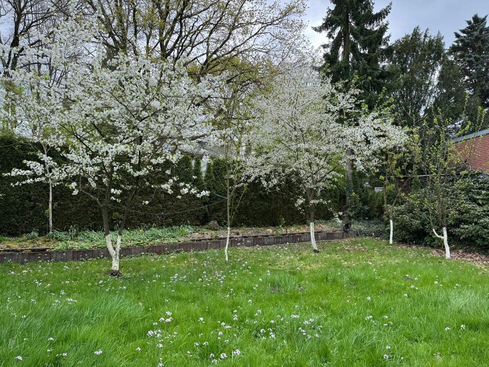 Freistehendes Einfamilienhaus (Satteldachbungalow) in naturverbundener Wohnlage von Bad Honnef-Aegidienberg (Wülscheid) in Bad Honnef