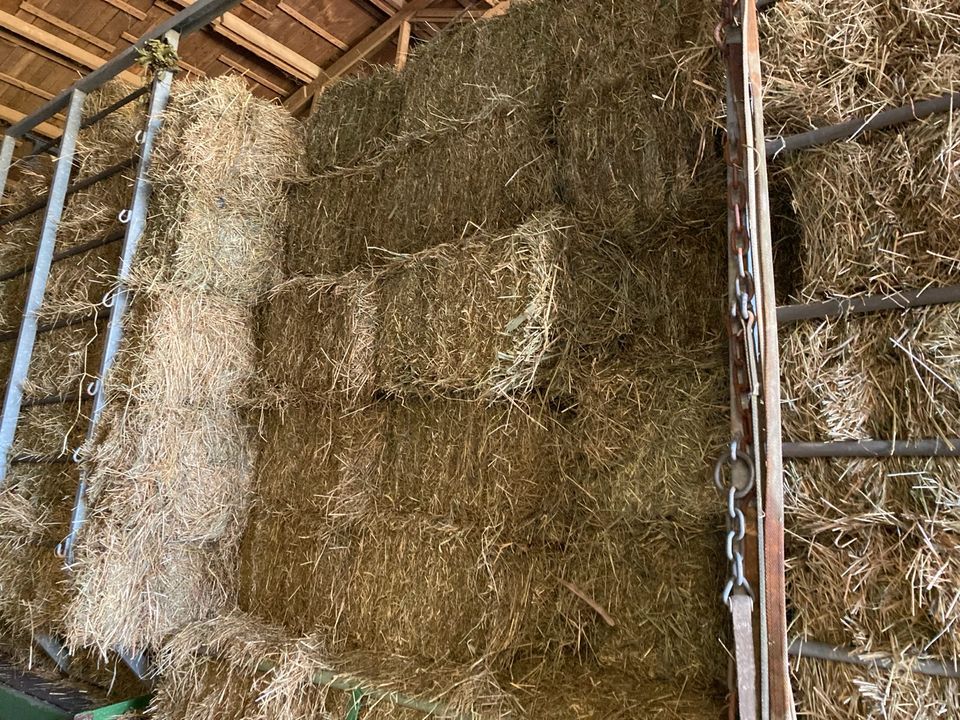 Futterweizen. Heu. Stroh. Kleine Ballen. Kleine Bunde in Rom (Mecklenburg)