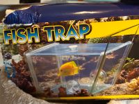 Fish trap, Fischfalle Kreis Pinneberg - Pinneberg Vorschau