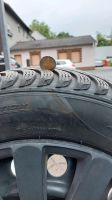 Allwetter Reifen Pirelli mit Kappen und  Drucksensor Dortmund - Westerfilde Vorschau