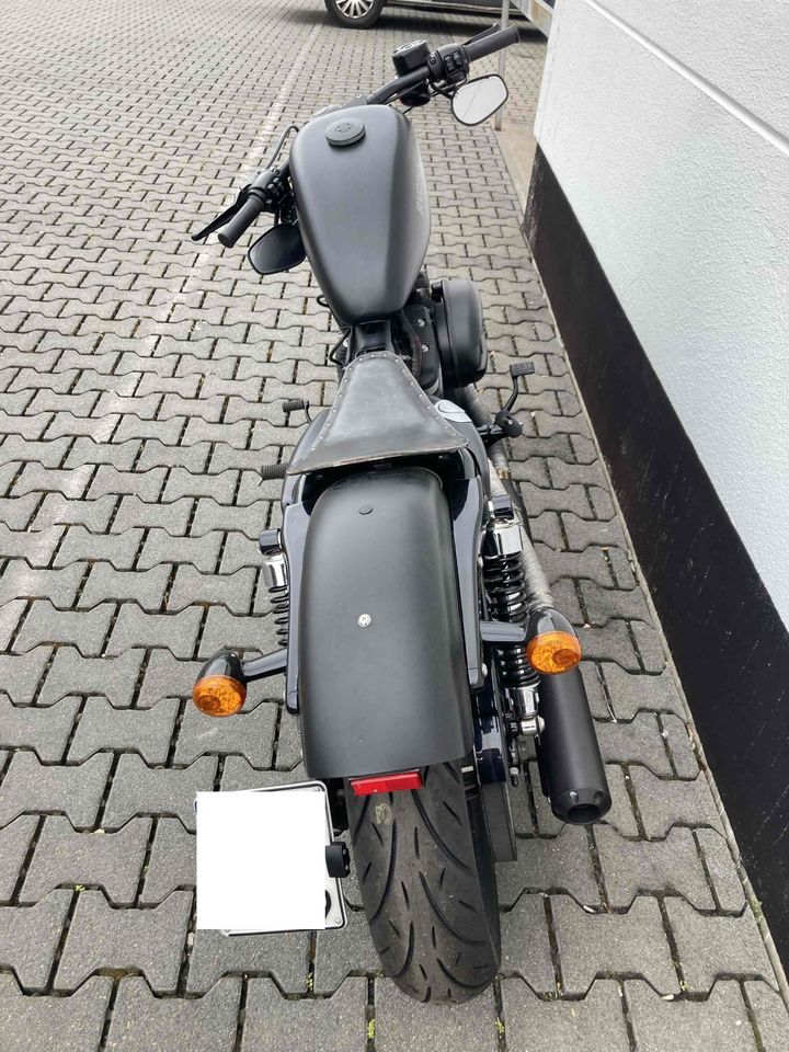 Harley Davidson Sportster XL 883 N - Erstbesitz - Erst 6.000 km in Egelsbach