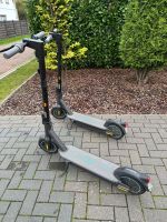 ninebot E-Roller Niedersachsen - Ottersberg Vorschau