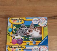 Ravensburger Malen nach Zahlen neu Katze Kaninchen Nordrhein-Westfalen - Salzkotten Vorschau