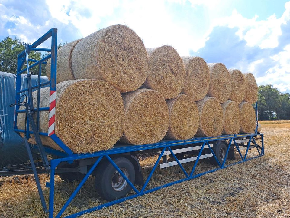 Strohwagen/Ballenwagen in Schapen