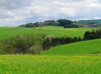 Wir suchen eine Wohnung/Haus auf dem Land /Stadtrand!! Nordrhein-Westfalen - Oberhausen Vorschau