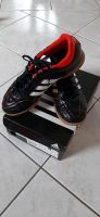 Indoor, Sportschuhe, Damenschuhe, Questra, Hallenschuhe Gr. 6 Bayern - Atting Vorschau