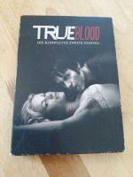 True Blood 2. Staffel Bayern - Vestenbergsgreuth Vorschau