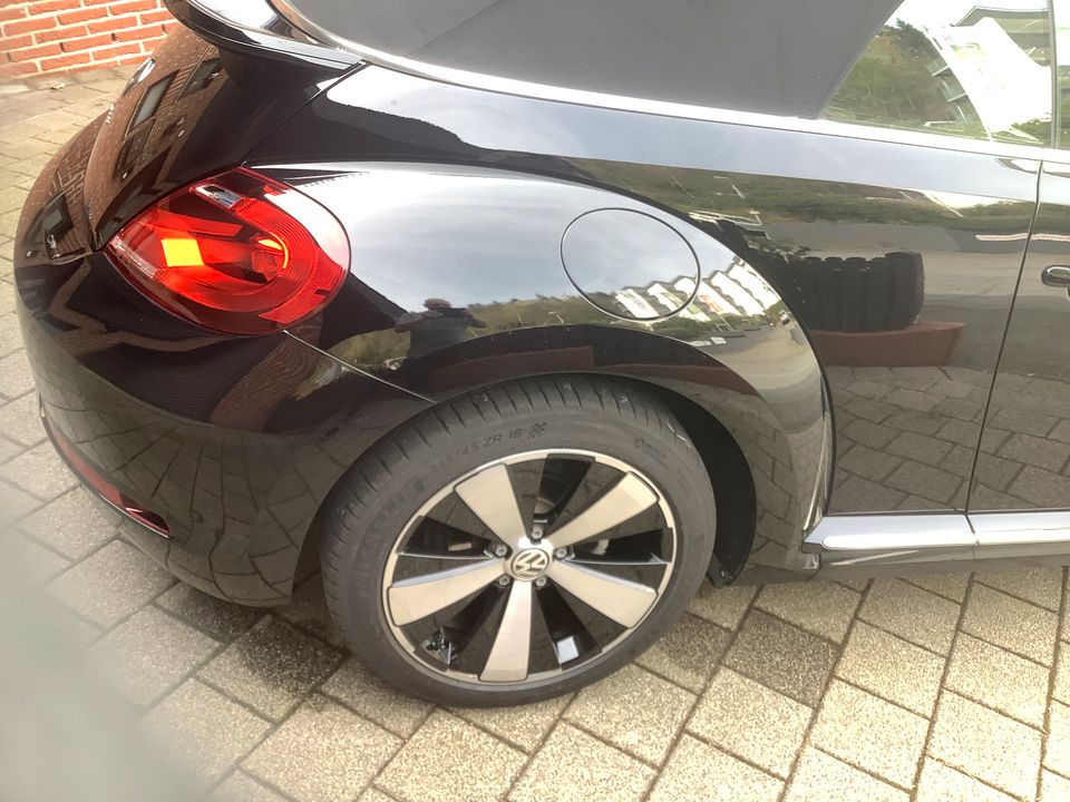 VW Beetle Cabrio Navi Klima Sitzh. Twister Alu Rückfahrk. in Bad Laasphe