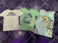 3 Shirts Dinosaurier Skateboard Beach Größe 116 div. Marken Nordrhein-Westfalen - Paderborn Vorschau