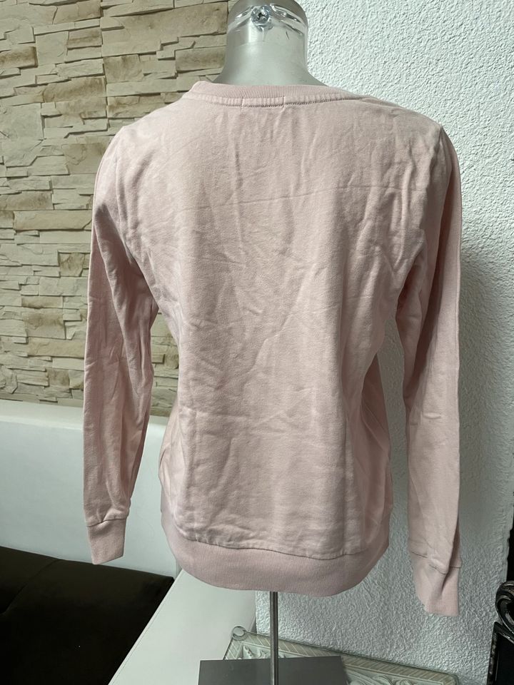 Gap Pullover sweater sweatshirt hoodie s 36 in Schwalmtal