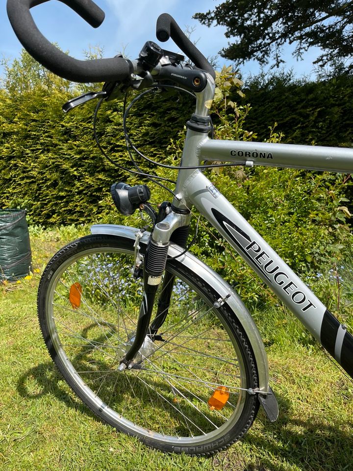 Fahrrad Herren, Männer, Peugeot in Garbsen