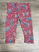 Hose Leggings Disney Dumbo 80 Sachsen-Anhalt - Roitzsch Vorschau