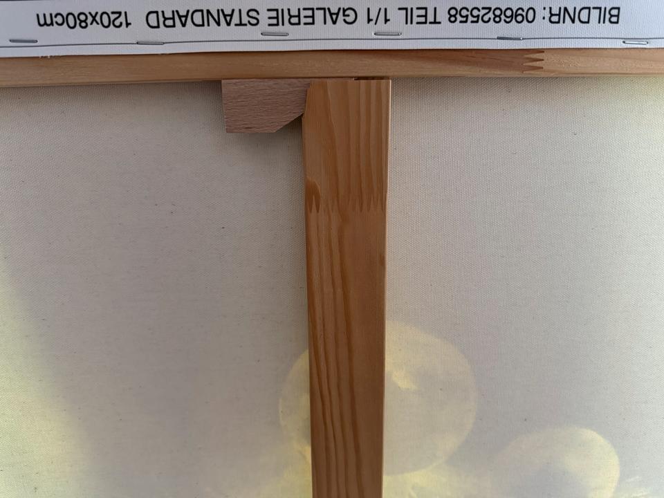 Bild, Fotodruck auf Leinwand 120 x 80 cm, sehr guter Zustand in Halle