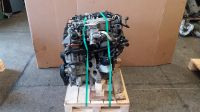 ✔️ Motor 2.0 TDI CAG AUDI A4 B8 A6 Q5 SEAT EXEO 61TKM KOMPLETT Berlin - Wilmersdorf Vorschau