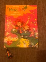 Hexe Lilli und die wilden Dinos für Erstleser Schleswig-Holstein - Erfde Vorschau