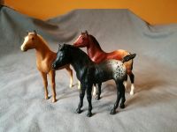 Breyer Fohlen Schecken Traditional Appaloosa Bayern - Ramsthal Vorschau