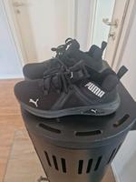 Puma Turnschuhe 8 Niedersachsen - Holzminden Vorschau