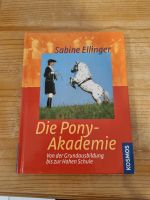 Die Pony Akademie Sabine Ellinger Bayern - Isen Vorschau