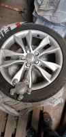 Audi A3 8p Sommerräder Alufelge 17“ Niedersachsen - Aschendorf Stadt Papenburg Vorschau