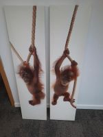 Orang Utan, Affe Leinwand 120x30 Nordrhein-Westfalen - Legden Vorschau