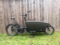 Urban Arrow Family Lastenrad Cargoline Bosch mit Regenverdeck Dresden - Cotta Vorschau