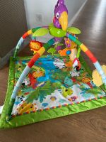 Spielbogen Dschungel Fisher Price Rainforest Deluxe Hessen - Malsfeld Vorschau