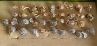 36 Finger Ringe Modeschmuck Neuware Flohmarkt Bayern - Triefenstein Vorschau