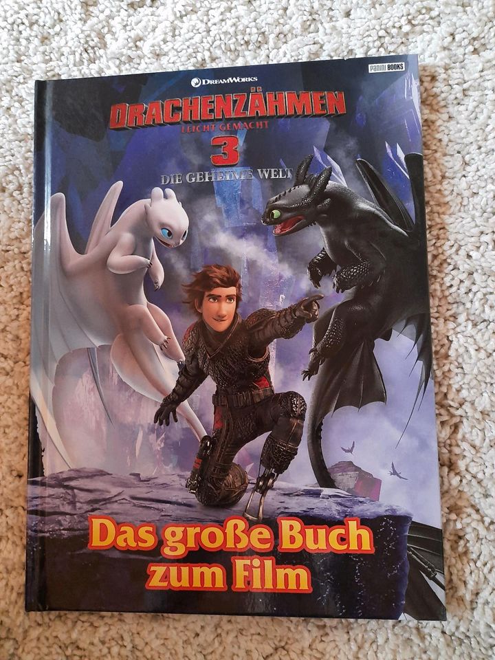 Drachenzähmen - Das grosse Buch zum Film in Saulheim