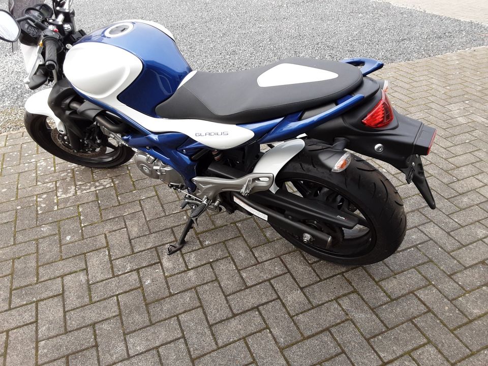 Suzuki Gladius SFV 650A  ABS in Horstedt bei Husum, Nordsee