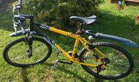 Fahrrad Diamondback Vertec Basic Jugendrad 26 Zoll Hessen - Tann Vorschau