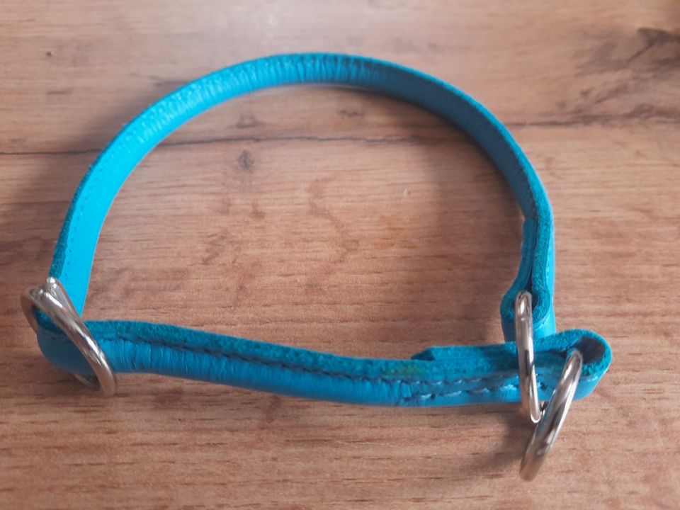 Hundehalsband NEU Halsband für Hunde Verschiedene Farben Leder? in Lamerdingen