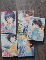 BL Manga Hidden Flower Band 1-5 Baden-Württemberg - Kenzingen Vorschau