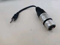 Neutrik 3.5mm Stereo-Klinkenstecker PC / Laptop Auf XLR Mikrofon Stuttgart - Stuttgart-Mitte Vorschau