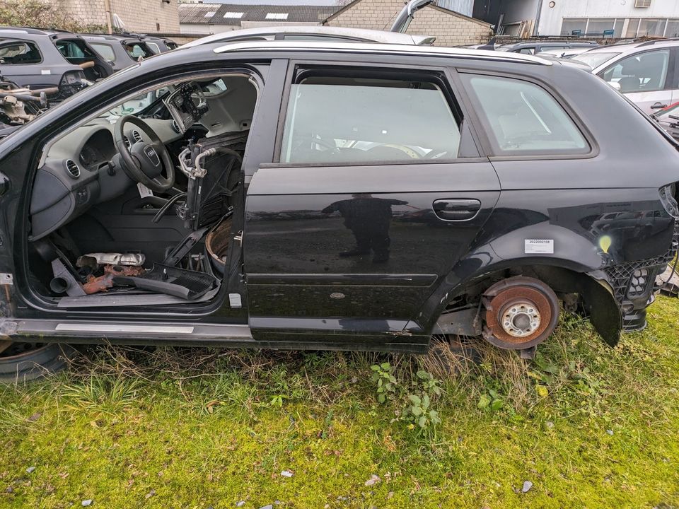 Schlachtfest Audi A3 8P Schwarz LY9B, LZ9Y, Blau LZ5C,Grau LX7Z in Gronau (Westfalen)