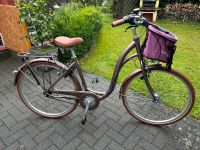 Fahrrad Damen Kalkhoff Niedersachsen - Wietzen Vorschau