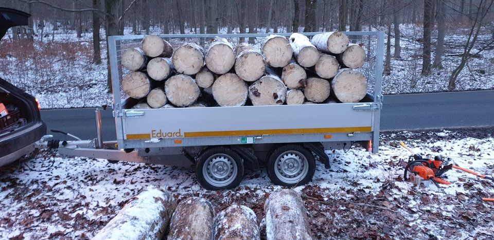 Stammholz Esche Brennholz inkl. Lieferung! in Salzhemmendorf