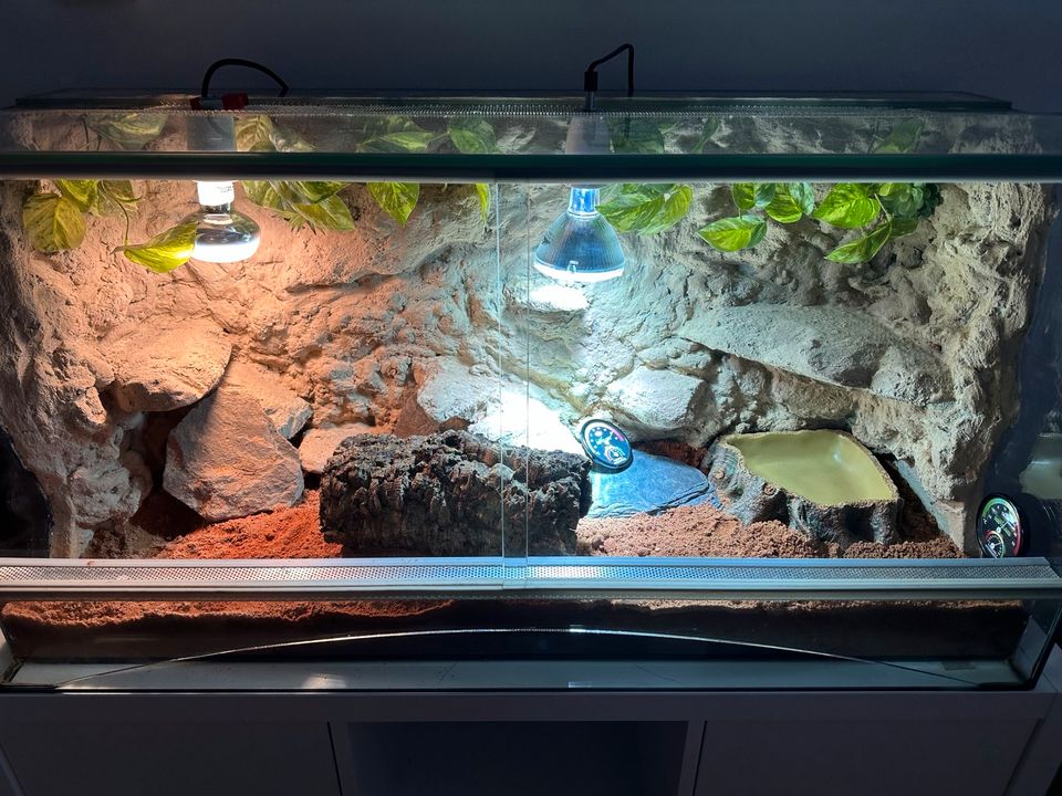 Terrarium 3D Rückwand 100x45x50 in Erlangen