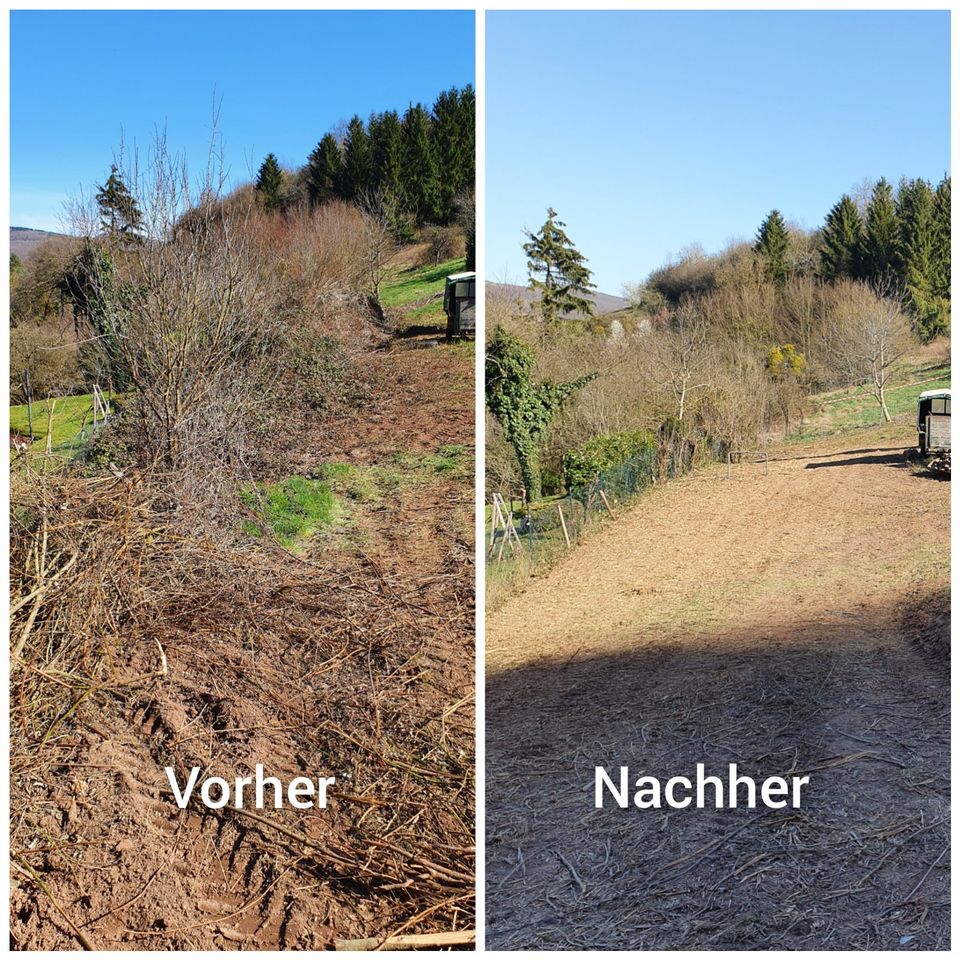 Gartenpflege, Baumfällung, Rodung, Winterdienst in Wolfstein