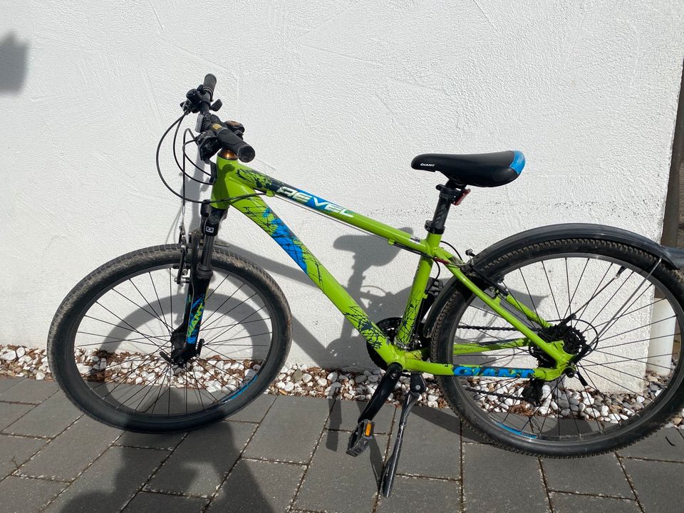 Giant Revel 2 Hardtail Mountainbike grün 26 Zoll Rahmengr. S in Schwendi