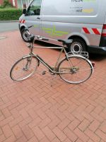 Gazelle Fahrrad Nordrhein-Westfalen - Delbrück Vorschau