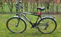 Peugeot Corona Fahrrad 28 Zoll Wandsbek - Hamburg Bramfeld Vorschau