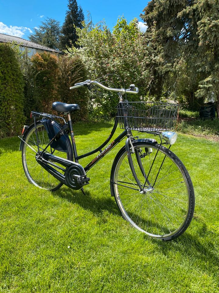 Damen Rad Hollandrad Fahrrad mit Korb Excelsior 28 Zoll Retro in München