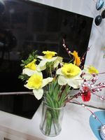 Blumenstrauß Kunstblumen Frühlingsblumen Deko Nordrhein-Westfalen - Nümbrecht Vorschau