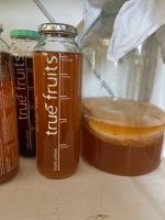 Scoby mit Ansatzflüssigkeit -> Kombucha Eimsbüttel - Hamburg Stellingen Vorschau